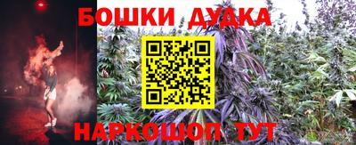 прущие грибы Дубна