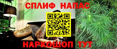 прущие грибы Дубна
