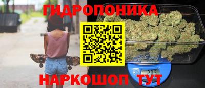 индика Донской