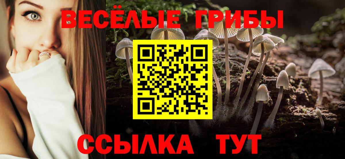 Галлюциногенные грибы Cubensis Лабытнанги