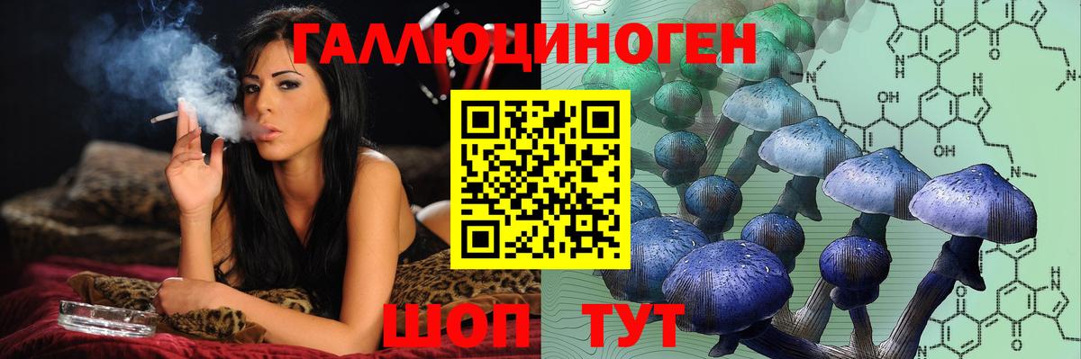 Галлюциногенные грибы Psilocybe  Вход с VPN  Лабытнанги 